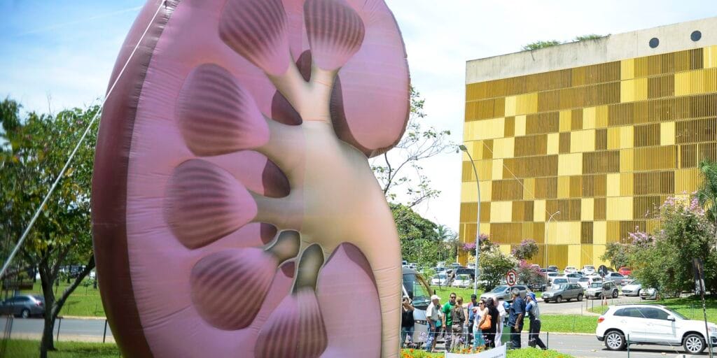 Doença Renal Crônica: o Inimigo Silencioso que Exige Atenção e Prevenção