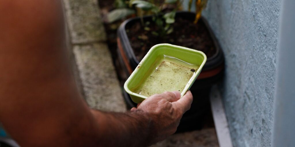 El Niño e o Risco de Aumento de Casos de Dengue e Chikungunya no Brasil 20230330101501_mg_7168