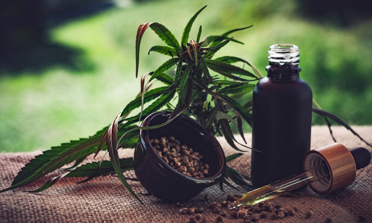 © CBD-Infos-com/ Pixabay