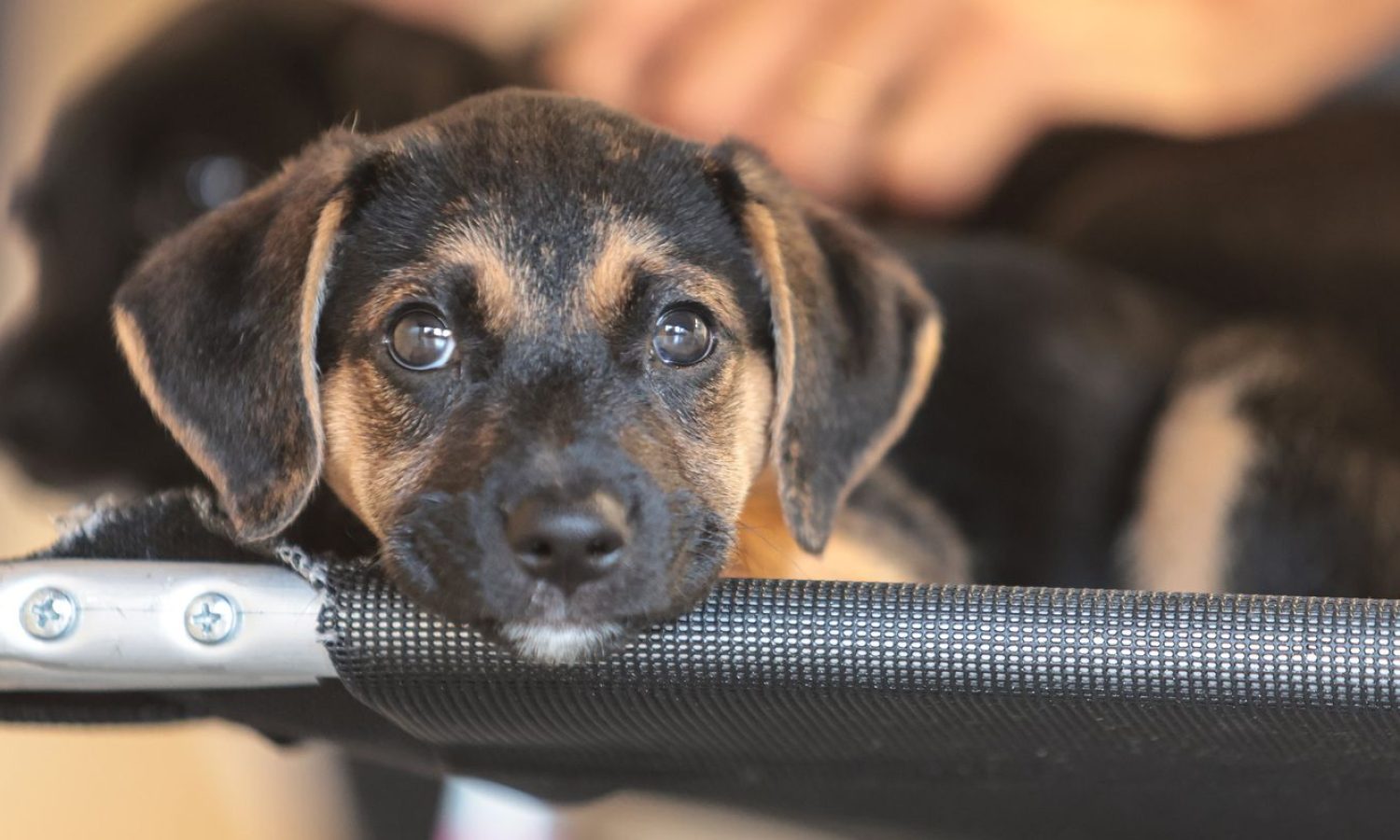 © Paulo Pinto/Agência Brasil